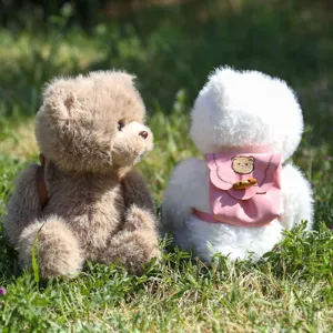 Niedlicher Rucksack Teddybär Plüschtier mit abnehmbarer Tasche, tolles Geschenk für Kinder.
