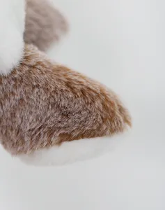 Nahaufnahme der feinen braunen und weissen Plueschfell Textur des suessen Raccoon Spielzeugs.