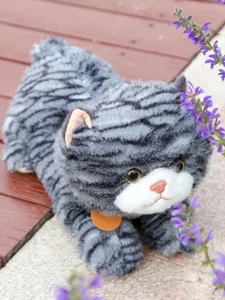 Nahaufnahme der grau gestreiften Plüsch-Katze, weiche Textur und niedliche Liegeposition.