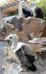 Peluche avvoltoio realista simulazione uccello bambola morbido animale ripieno decoro casa