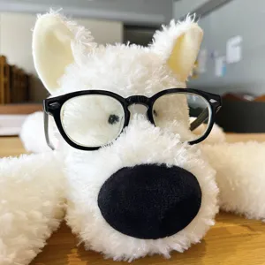 Weisser flauschiger Plueschhund Spielzeug Detailaufnahme mit Brille Kuschelkissen.