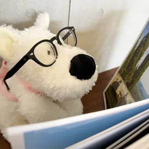Süßes weißes Plüschhund Spielzeug mit schwarzer Brille und rosa Halsband, weich und kuschelig.