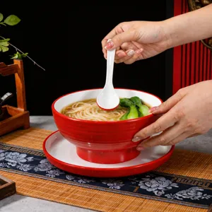 Melamine Tableware Set Commercial Red Ramen Bowl with Spoon and Saucer for Restaurant Use