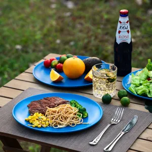 Assiette ronde en mélamine nordique mate pour steak spaghetti pizza restaurant vaisselle