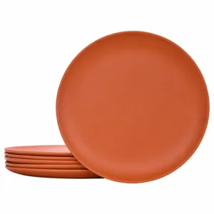 Assiette plate en melamine style nordique finition mate plat rond de 10 pouces.