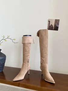 Gedetailleerd overzicht van elegante puntige stiletto hoge hak laarzen, suède design.