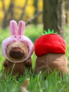 Niedliches Wasserschwein Plüschtier mit Hasen und Tomaten Hut, weiche Stofftier Detailansicht.
