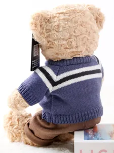 Detailed view of cute plush teddy bear wearing blue knitted sweater and brown pants.