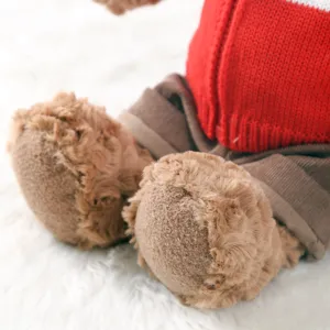 Close-up detail of plush teddy bear wearing soft red knitted sweater and brown pants.