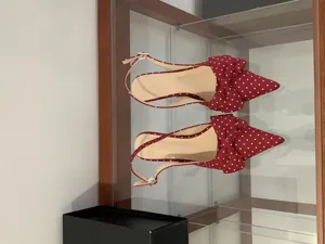 Red polka dot pointed toe slingback high heels with bow detail, stylish women detail shot.