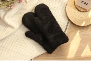 Warme pluche wanten voor heren en dames in de winter, dik gevoerde koudebestendige handschoenen.