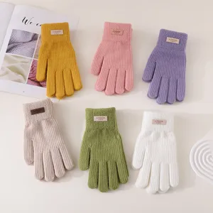 Winter Warm Knit Touch Screen Gloves Women Men Cute Riding Cold-Proof Fleece Thickened Full-Finger Gloves