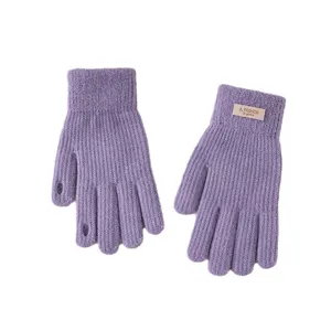 Winter warm touchscreen knit gloves for women, thick cozy purple mittens for outdoor cycling.