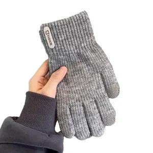 Guanti in maglia invernali da donna, guanti touchscreen felpati spessi per esterno.
