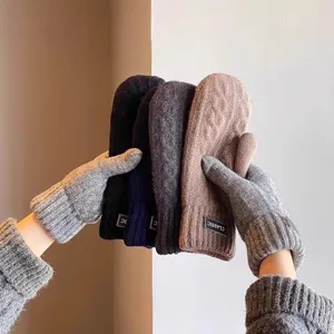 Detailed shot of thick thermal knit mittens in multi-colors, ideal for cold winter use.