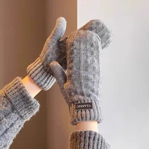 Close-up detail of gray knit winter mittens with textured pattern and classic cuff label.