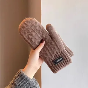 Close-up detail of winter brown knitted mittens with classic label tag soft warm fabric.