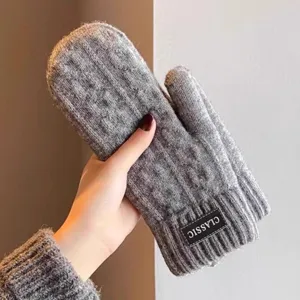 Men's Winter Warm Knit Gloves Thickened Fleece Lined Touch Screen Gloves Cable Knit Outdoor Cycling Cold Weather Gloves