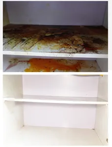 Λεπτομερής όψη του σπόγγου καθαρισμού στο ράφι, αφαιρεί εύκολα τους επίμονους λεκέδες.