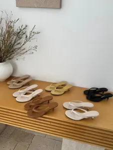 Detail shot of stylish women's thong kitten heel sandals featuring multiple chic color options.