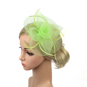 Vue détaillée de l'accessoire de coiffure en résille vert clair et plumes élégantes.