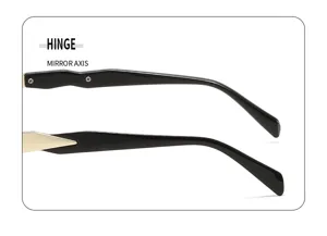 Detail de branche de lunettes de soleil en metal et structure de charniere de pres.