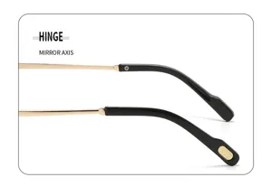 Detailed close-up view of sunglasses hinge and temple arm, metal and acetate construction.