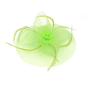 Vue de détail du fascinateur en résille vert clair, accessoire de cheveux élégant avec plumes.