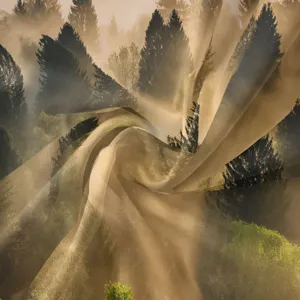 Detailed close-up of the scenic foggy forest tapestry fabric showing a soft swirled drape.