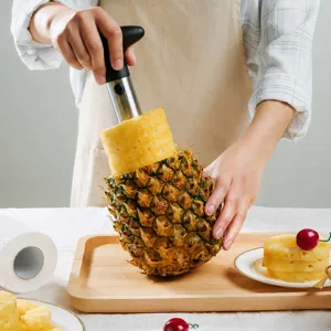 Affetta Ananas e Sgranatore in Acciaio Inossidabile Multifunzionale Strumento per Frutta da Cucina Rimuovi Nucleo
