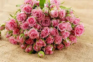 Vintage rustic burlap background cloth for product photography with pink roses decoration.