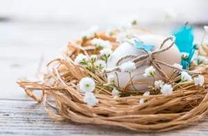 Oeuf de paques plastique deco jouet DIY avec nid de paille, ideal pour fete de paques.