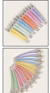 Kleurrijke acryl haarstylingclips, kreukvrije eendenbeksectieclips voor salongebruik.