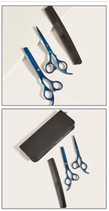 Kit de ciseaux de coiffure professionnels avec ciseaux coupe et effilage et étui de rangement.