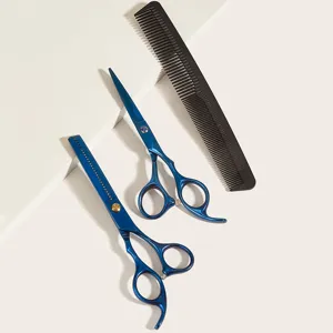 Set de ciseaux de coiffure professionnels avec ciseaux a effiler et peigne pour salon