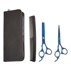 Ensemble de ciseaux de coiffure professionnels avec étui en cuir et peigne pour salon.