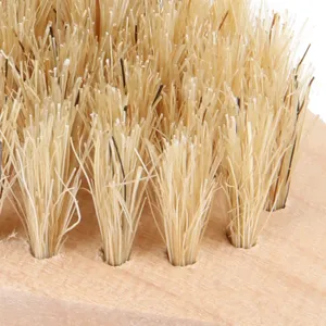 Brosse de bain corporelle en bois naturel avec des poils de plantes fermes pour le massage.