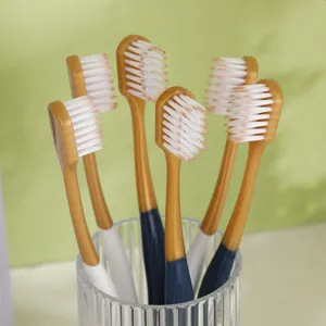 Gros plan détail de brosses à dents adultes à poils souples et tête large dans un support transparent.