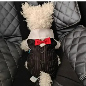Simpatico cane di peluche con gilet gessato nero, camicia bianca e papillon rosso elegante