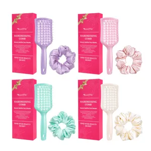Set spazzola per capelli cava con elastici in seta e scatola regalo immagine principale