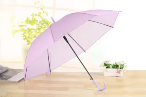 Paraguas morado de mango largo con empuñadura curvada para uso diario, detalle minimalista.