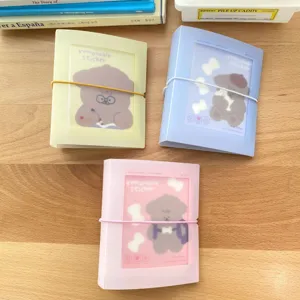 Detailansicht des matten, transparenten 3-Zoll-Fotokarten-Sammelalbums mit Gummibandverschluss.