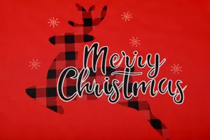 Gedetailleerd overzicht van rode kerstjurkstof met ruitvormige rendier- en tekstprint.