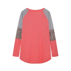 Women colorblock leopard print stripe long sleeve crewneck casual t-shirt detail view