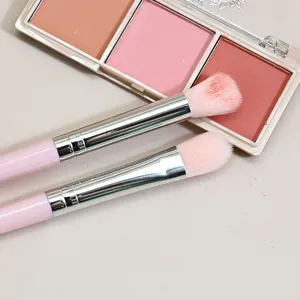 Rosa Make-up-Pinsel-Set Detail zeigt weiche Borsten und Metallzwinge mit einer Palette.