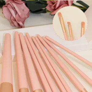 Set mit 10 rosa Pinsel für Make-up mit weichen Borsten, ideal für Foundation und Lidschatten.