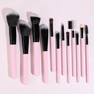 12-piece professional pink makeup brush set with soft bristles for face, eyes, and daily makeup.