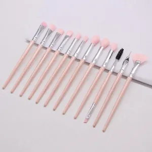 12-piece pink makeup brush set with soft nylon bristles and portable handles for eye shadow.