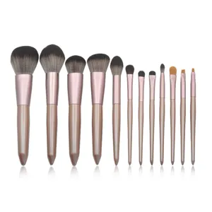 12-piece professional makeup brush set with pink handles, soft bristles, and multi-functional tools.