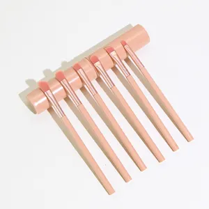 6-piece pink makeup brush set with round storage holder for eye shadow and contouring.